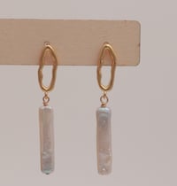 Earrings No.407
