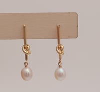 Earrings No.409