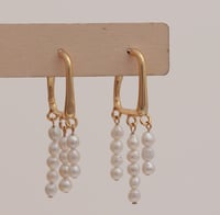 Earrings No.411