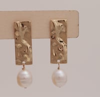 Earrings No.412
