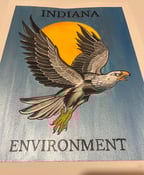 Image of Indiana Plate 1