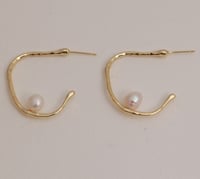Earrings No.422