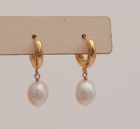 Earrings No.426