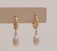 Earrings No.429
