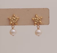 Earrings No.433