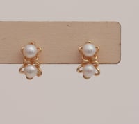 Earrings No.430