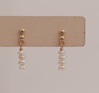 Earrings No.437