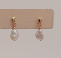 Earrings No.438