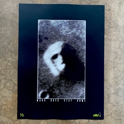 Image of MARS SAYS STAY HOME (original screenprint) 18x24