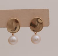 Earrings No.440