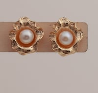 Earrings No.443