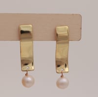 Earrings No.444