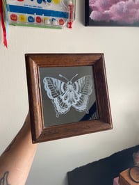 engraved butterfly