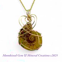 Blonde Ammonite 14 Karat Gold Fill Necklace