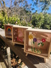 Wooden Money Boxes 