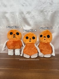 Image 1 of Pumpkin Person: B-GRADE