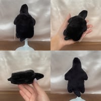 Image 2 of Black Turtle Mini Plush