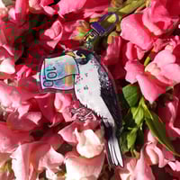 Image 4 of Noisy Miner Keychain/Lanyard keychain