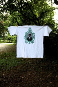 Image of Fancy Cat (Male)