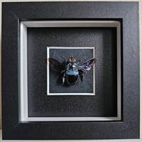 Framed - Blue Carpenter Bee I