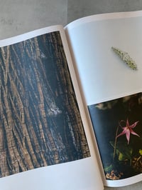 Image 6 of Blue Moon Magazine Issue 9