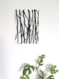 Image 4 of Vines