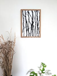 Image 5 of Vines