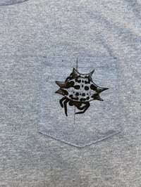 Image 2 of Spiny Orbweaver