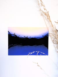 Image 2 of Roots