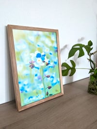 Image 3 of Blue Garden