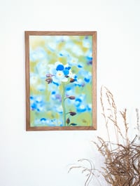 Image 4 of Blue Garden