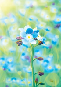 Image 1 of Blue Garden