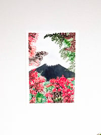 Image 4 of Fuji