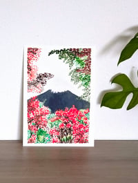 Image 2 of Fuji