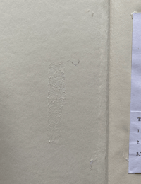 Image 5 of In Your Garden Again Vita Sackville-West