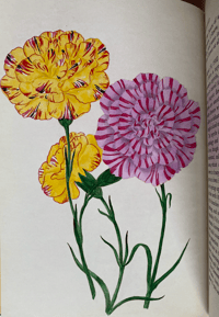 Image 2 of In Your Garden Again Vita Sackville-West