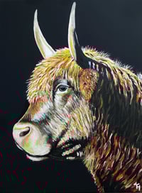 Clover the Highland Cow Original