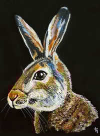 Jack the Hare Original