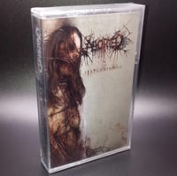 Aborted ''Strychnine.213'' - Cassette