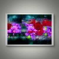 Image 2 of 'Rose Fragments '