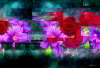 Image 1 of 'Rose Fragments '