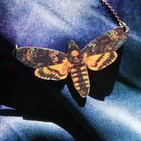 Image 1 of ESFINGE CALAVERA
