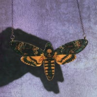 Image 2 of ESFINGE CALAVERA