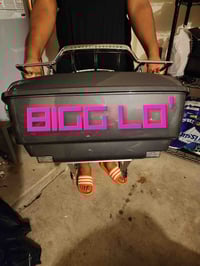 Image 1 of Goldye's BIGG LO' Trunk Decal and Fairing door decals