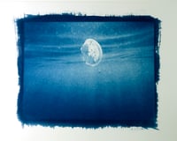 Image 1 of Little Beach Finds 01