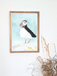 Image 2 of Puffin