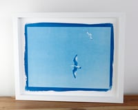 Image 1 of Flying High 01