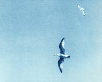 Image 2 of Flying High 01