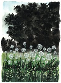 Image 1 of 5x7 - Original Watercolour, Goodbye Dandelions
