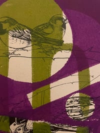 Image 3 of Sparrows
